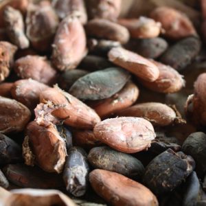 Love Beans - Raw Chocolate - Image 3