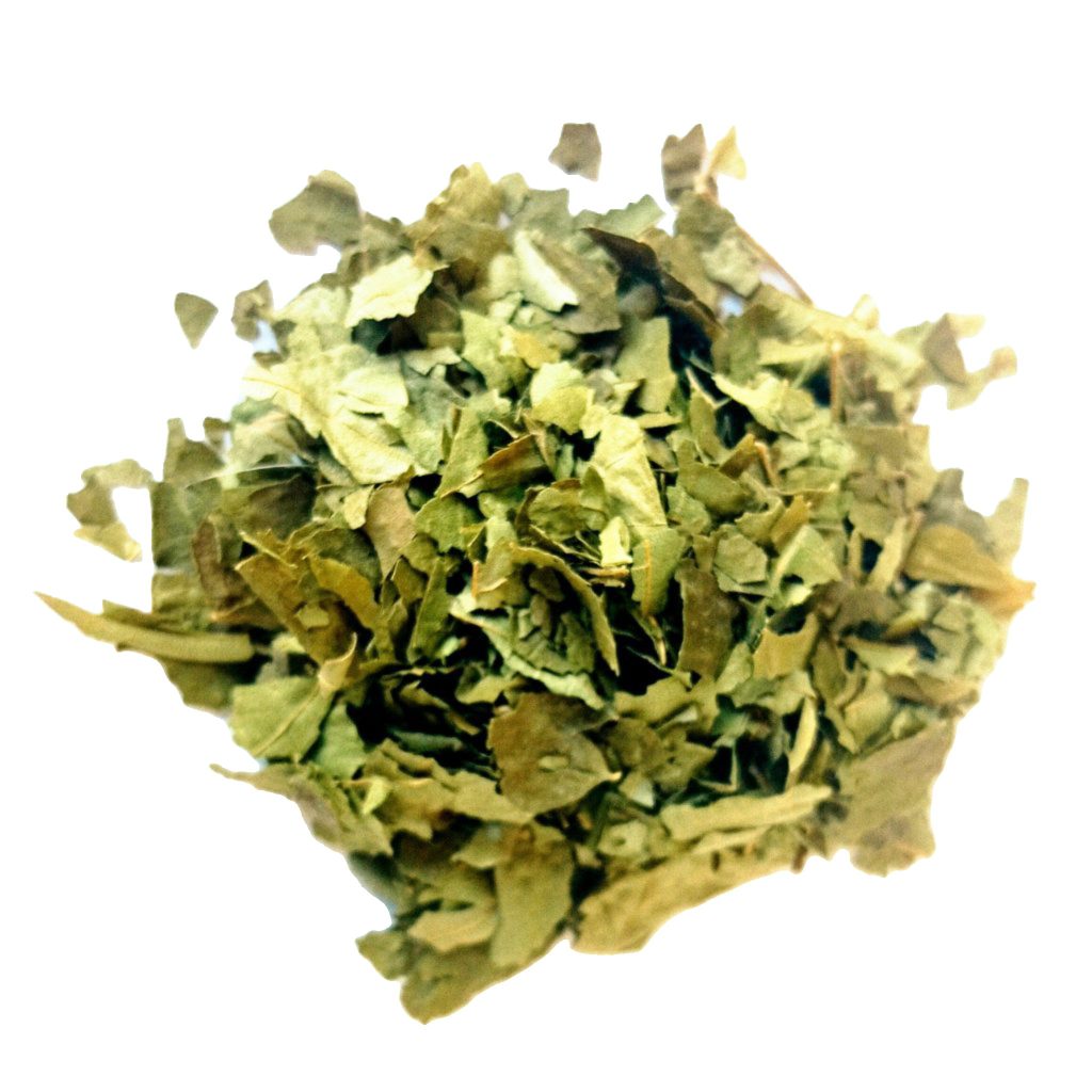 Vitis vinifera Herba